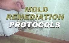 Mold Remediation Protocols Online Training & Certification